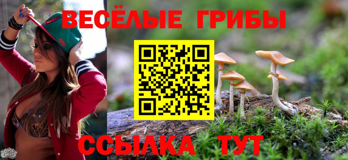 Псилоцибиновые грибы Psilocybe Сарапул