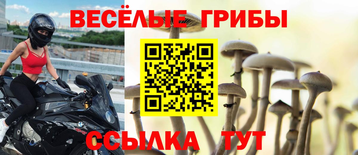 Канабис  Кетамин  Сарапул  ГЕРОИН  КОКАИН  Гашиш  Гашиш  Магазин наркотиков  Меф МЯУ МЯУ кристаллы  Вход с VPN  Марихуана 