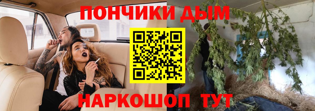 Конопля OG Kush  Вход с VPN  Марихуана семена  МАРИХУАНА Bruce Banner  Сарапул  МАРИХУАНА конопля 